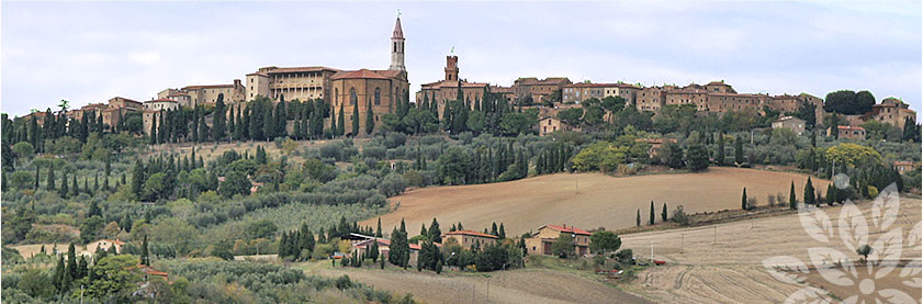 holiday home in tuscany, cortona, Arezzo